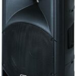 15" Plain plastic speaker