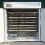 2112 egg incubator